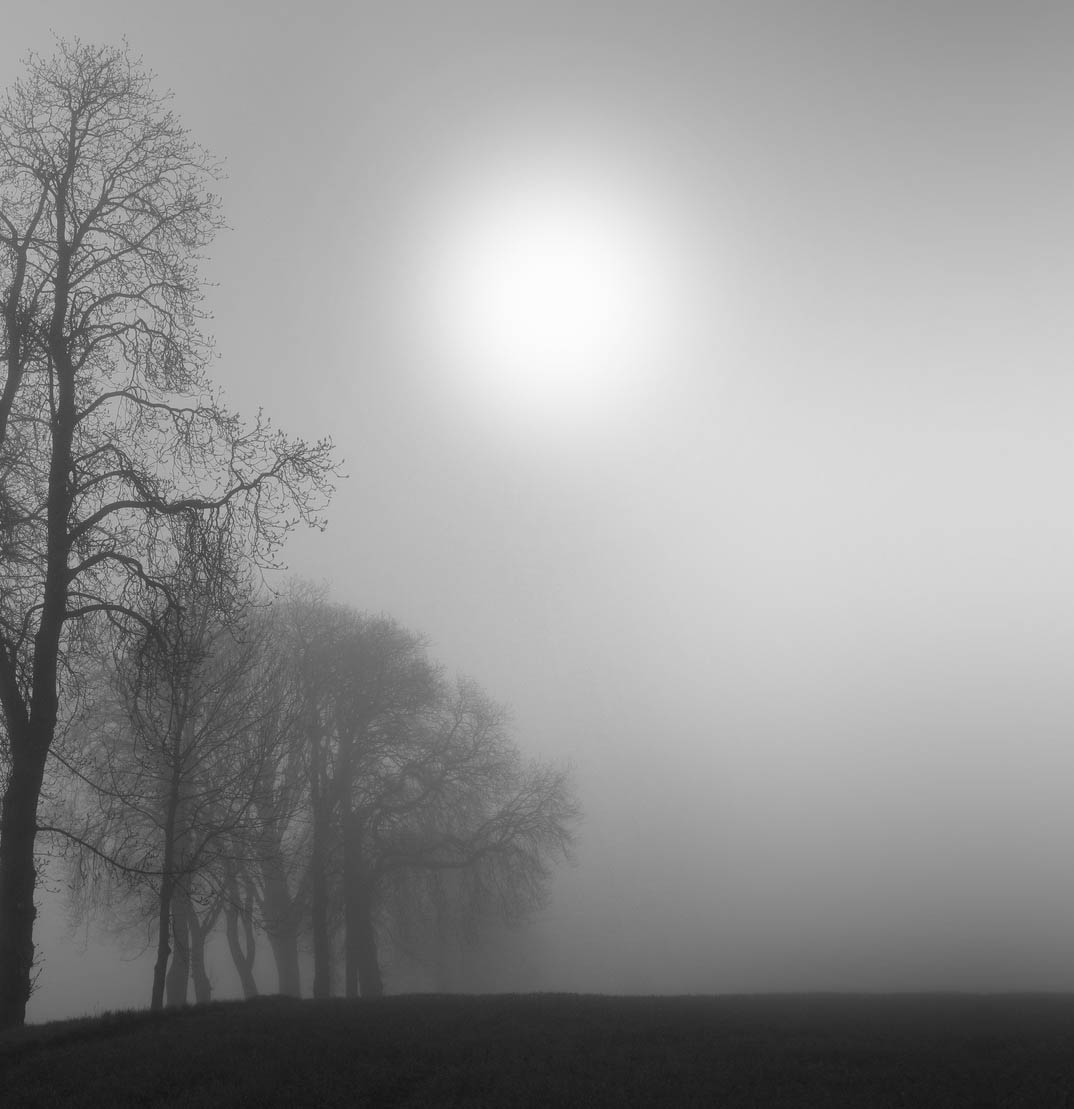 fog quotes